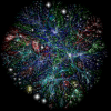 Complexity & Networks