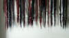 The Longest Carpet Fringe (Theen Moy/flickr.com)
