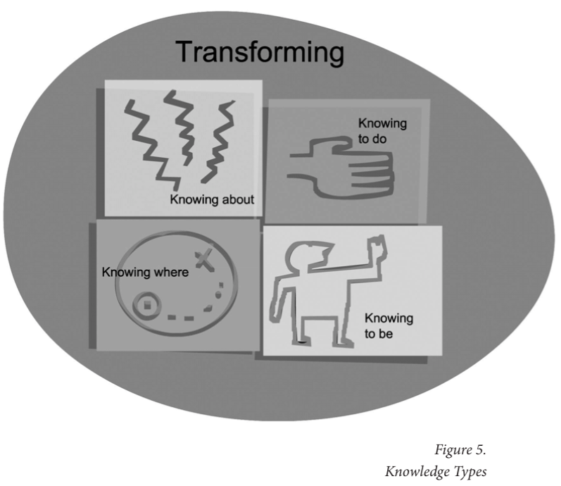 Figure 5 Knowledge types
