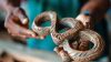 What is double loop learning in global health
