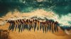 When funding shrinks, impact must grow the economic case for peer learning networks-small